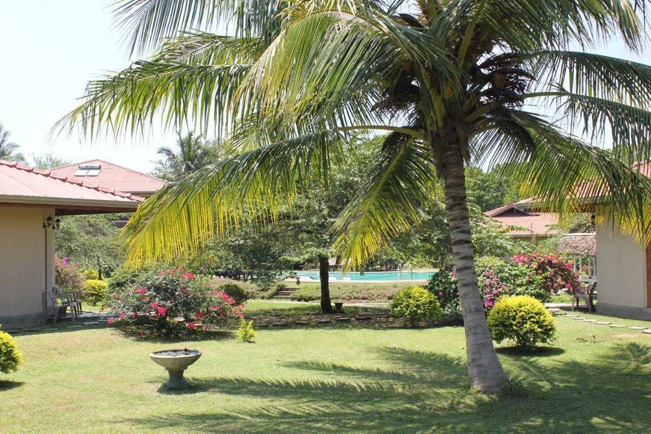 Hibiscus Garden Hotel Tissamaharama Exterior photo