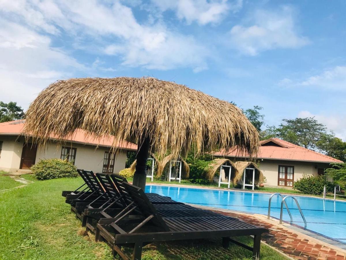Hibiscus Garden Hotel Tissamaharama Exterior photo