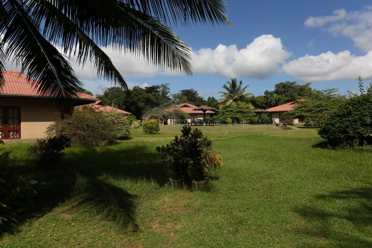 Hibiscus Garden Hotel Tissamaharama Exterior photo